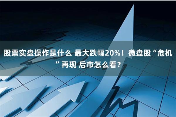 股票实盘操作是什么 最大跌幅20%！微盘股“危机”再现 后市怎么看？