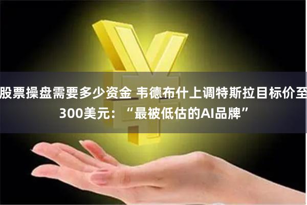 股票操盘需要多少资金 韦德布什上调特斯拉目标价至300美元：“最被低估的AI品牌”