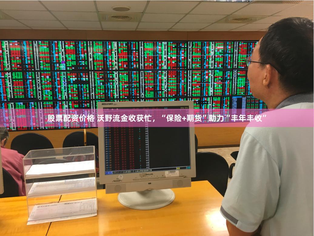股票配资价格 沃野流金收获忙,“保险+期货”助力“丰年丰收”