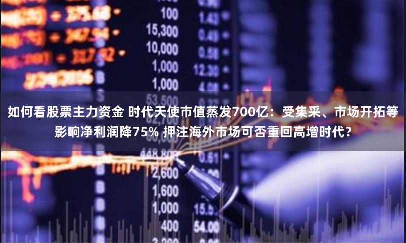 如何看股票主力资金 时代天使市值蒸发700亿：受集采、市场开拓等影响净利润降75% 押注海外市场可否重回高增时代？