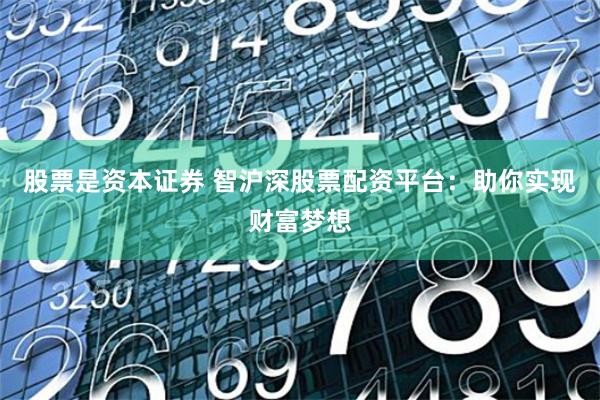 股票是资本证券 智沪深股票配资平台：助你实现财富梦想