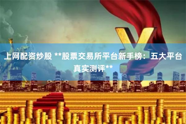 上网配资炒股 **股票交易所平台新手榜：五大平台真实测评**